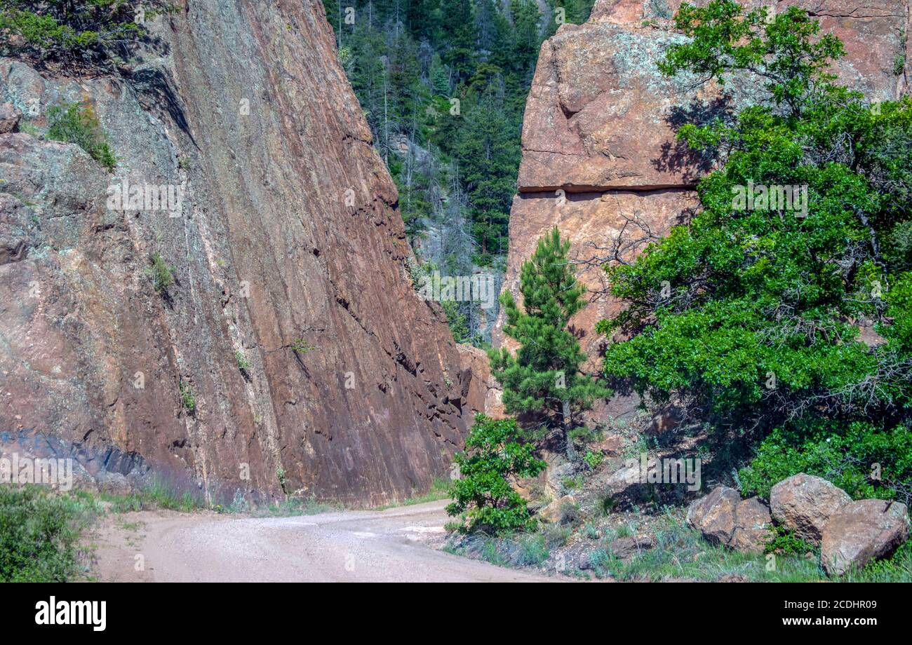 The dirt country road seems narrow as it curves between the large rock hills in the Colorado mountains. A pretty scene with green trees in the spring Stock Photo