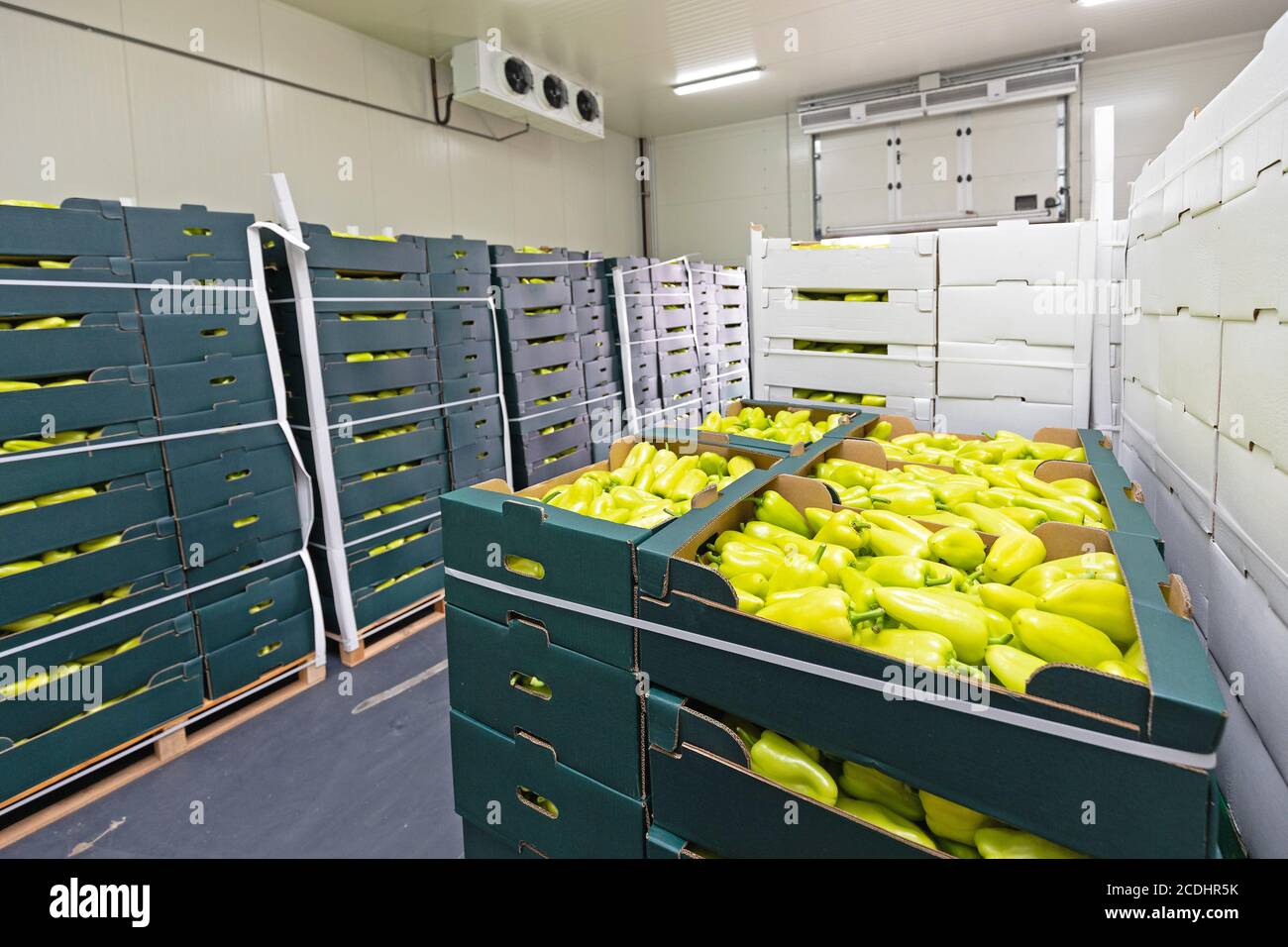 Green Peppers in Boxes Cold Storage Warehouse Stock Photo Alamy