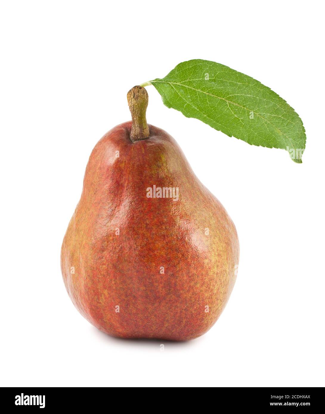 Red ripe pear Stock Photo