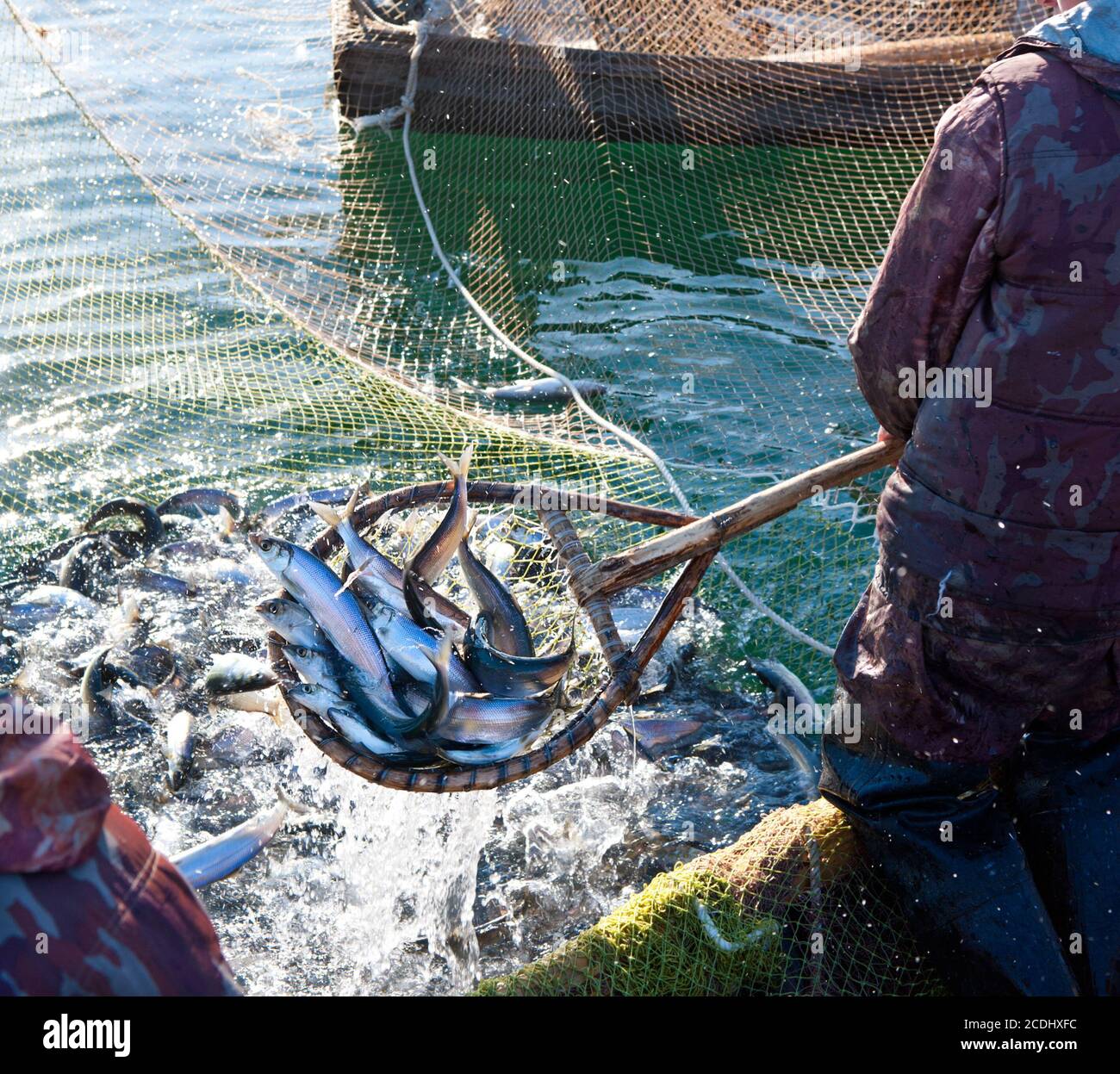 Dragnet fishing hi-res stock photography and images - Alamy
