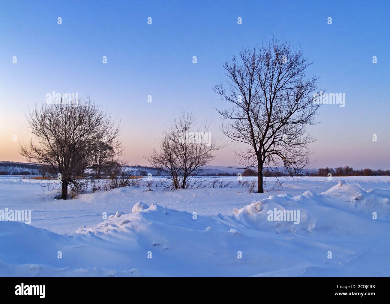 The Snow-clad fields in on sundown Stock Photo