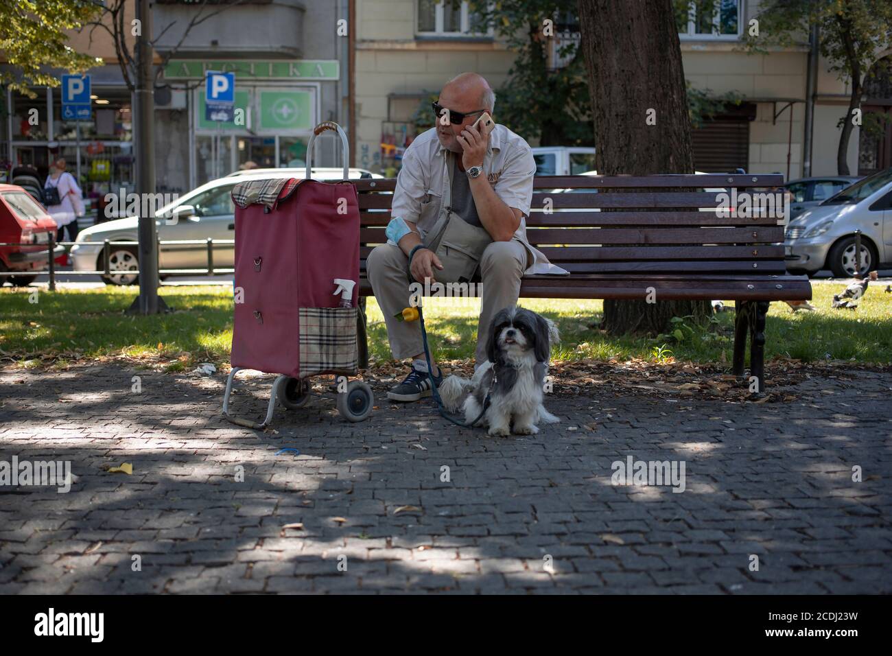 Belgrade, Serbia, Aug 2, 2020: Man with two dogs sitting on a bench in the park Stock Photo