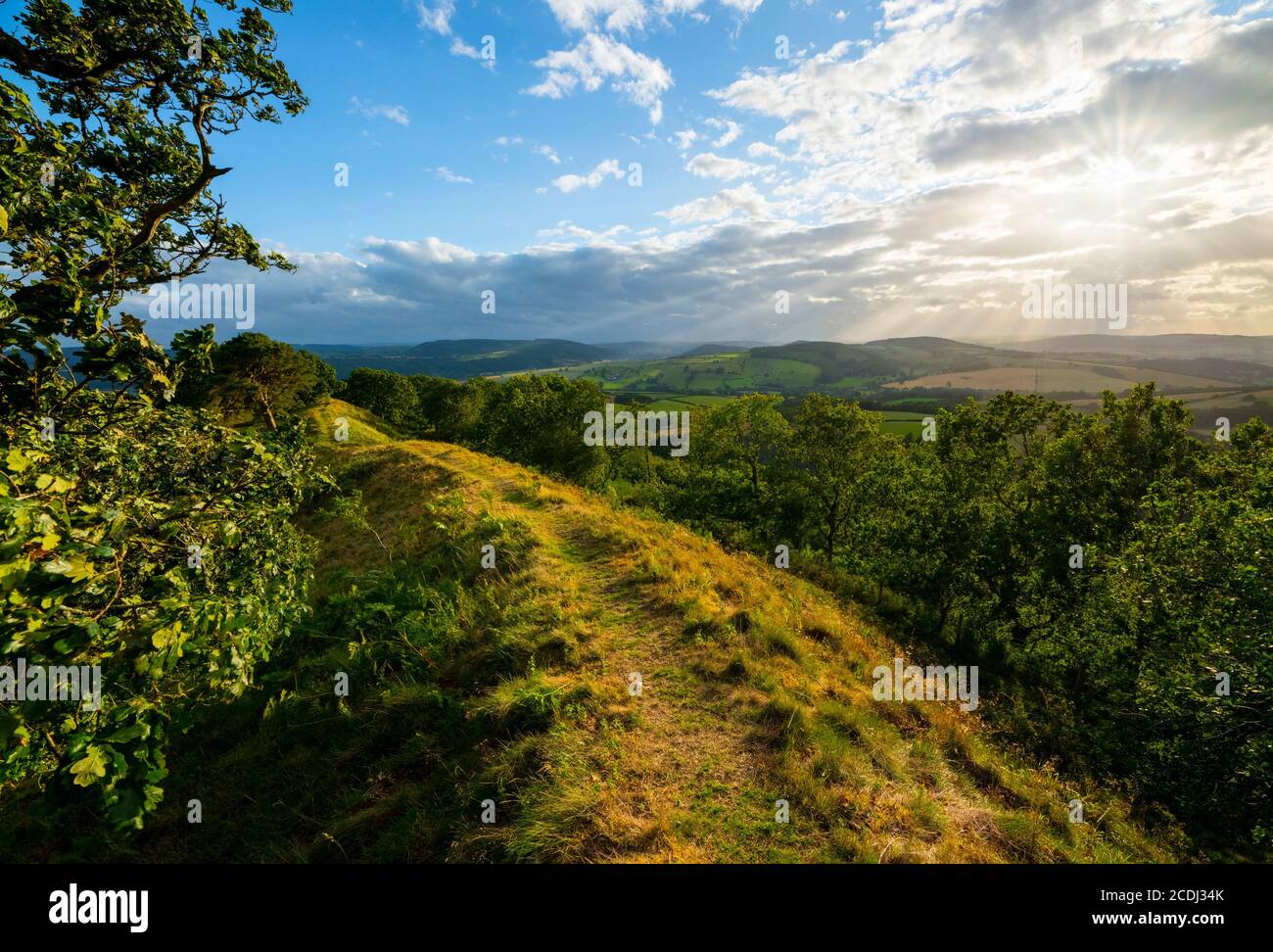 Evening light on Burrow Hill Iron Age hill fort, near Craven Arms ...