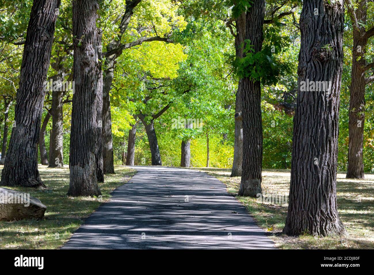 Path Leading to Bright Sunlight Stock Photo - Alamy