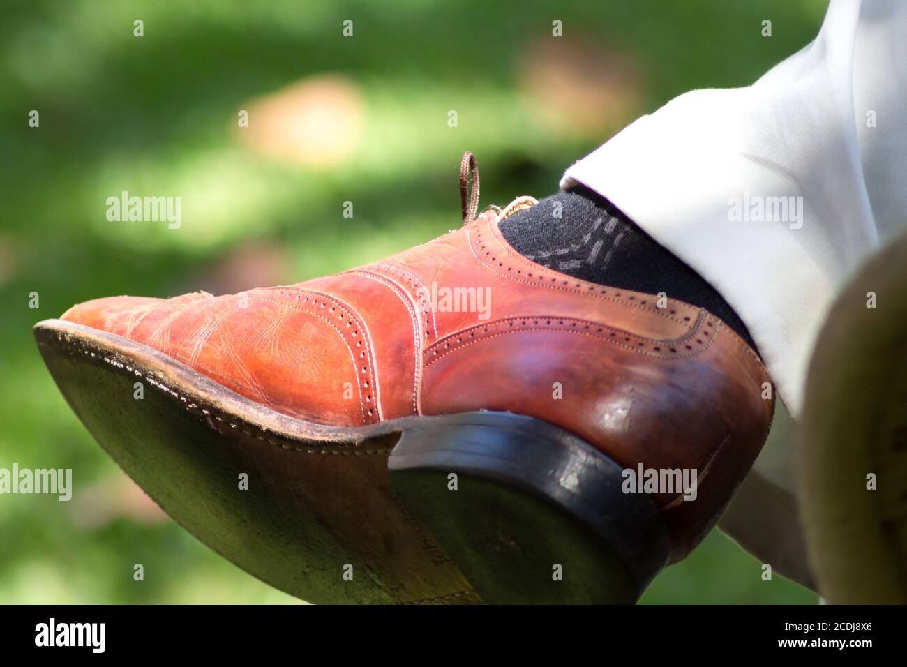 Red wing tip hi-res stock photography and images - Alamy