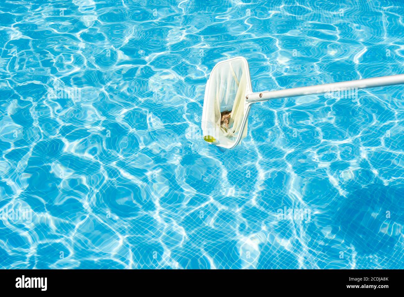 maintenance staff cleaning the pool leaves Stock Photo Alamy