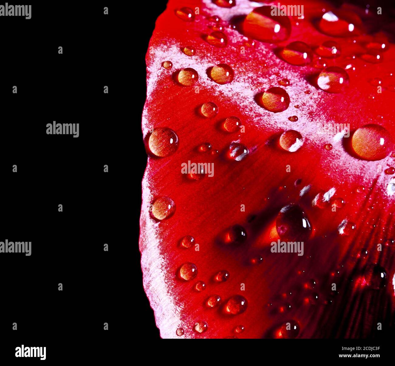 Red drop hi-res stock photography and images - Alamy