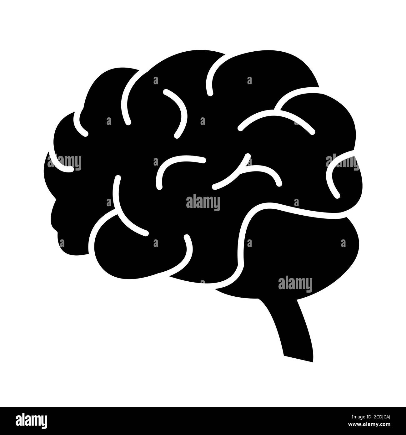 Brain Anatomy Glyph Icons Stock Photo Alamy