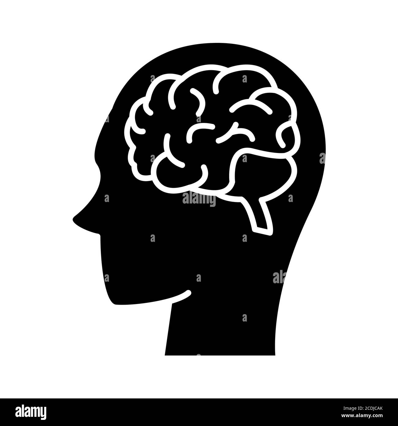 Human brain anatomy hires stock photography and images Alamy