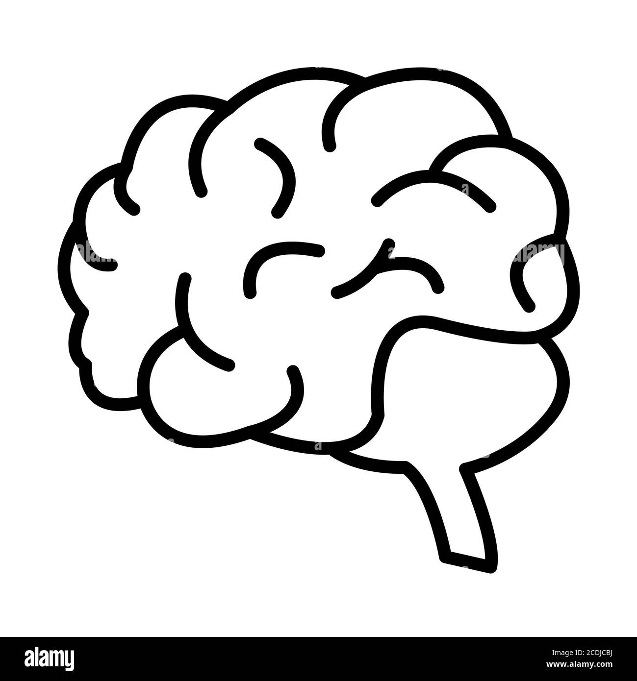 Parts of the brain hires stock photography and images Alamy