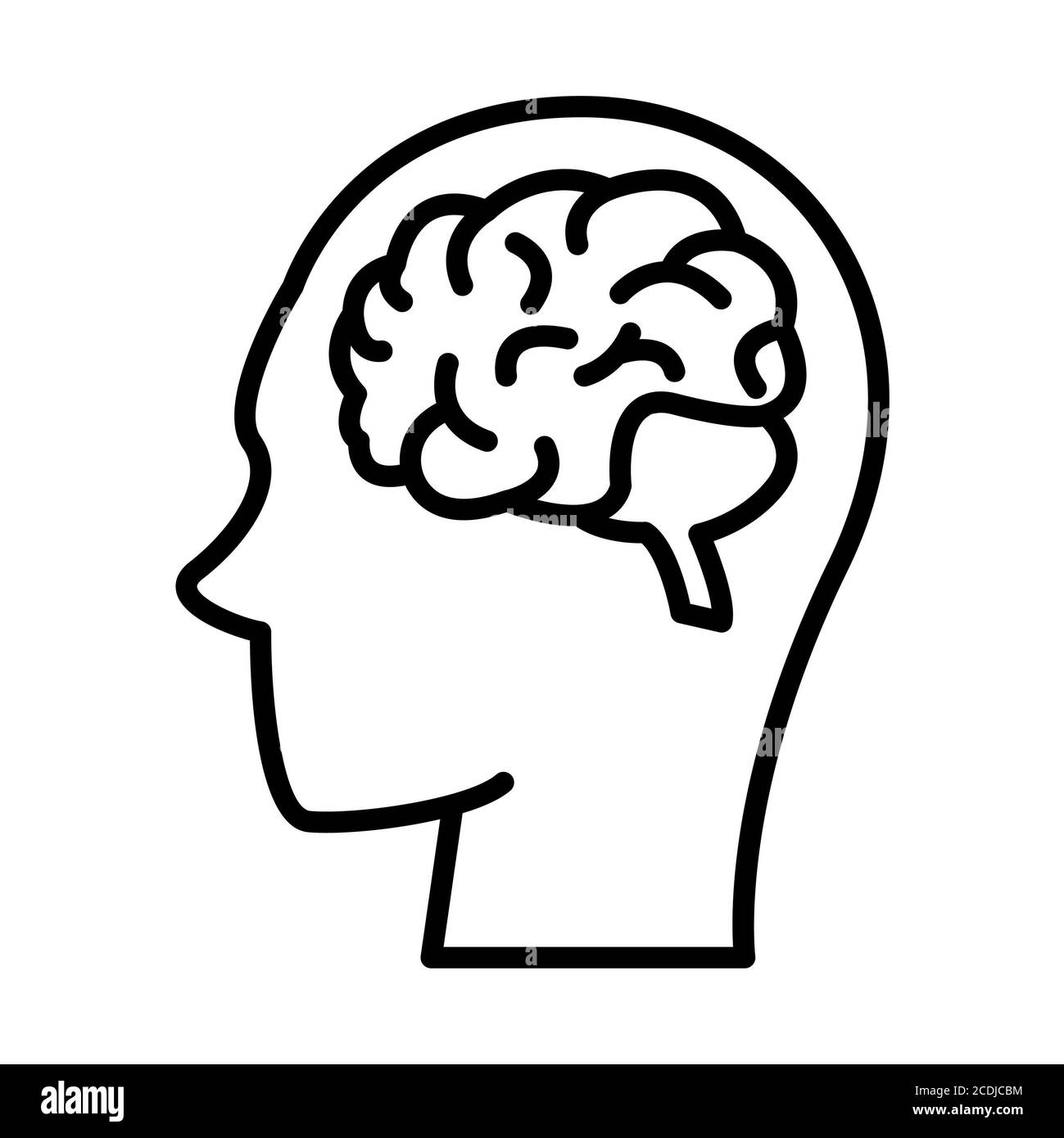 Human brain anatomy structure hires stock photography and images Alamy