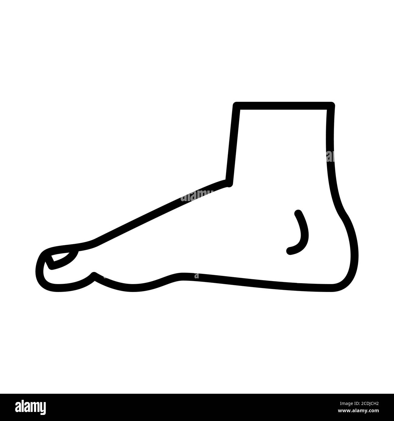 Feet Anatomy Line Icon Stock Photo
