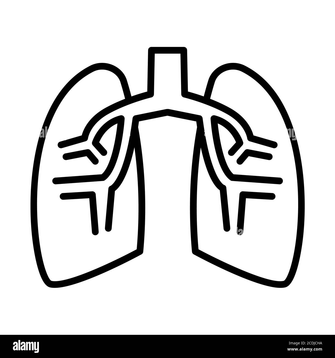 Lungs Anatomy Line Icon Stock Photo