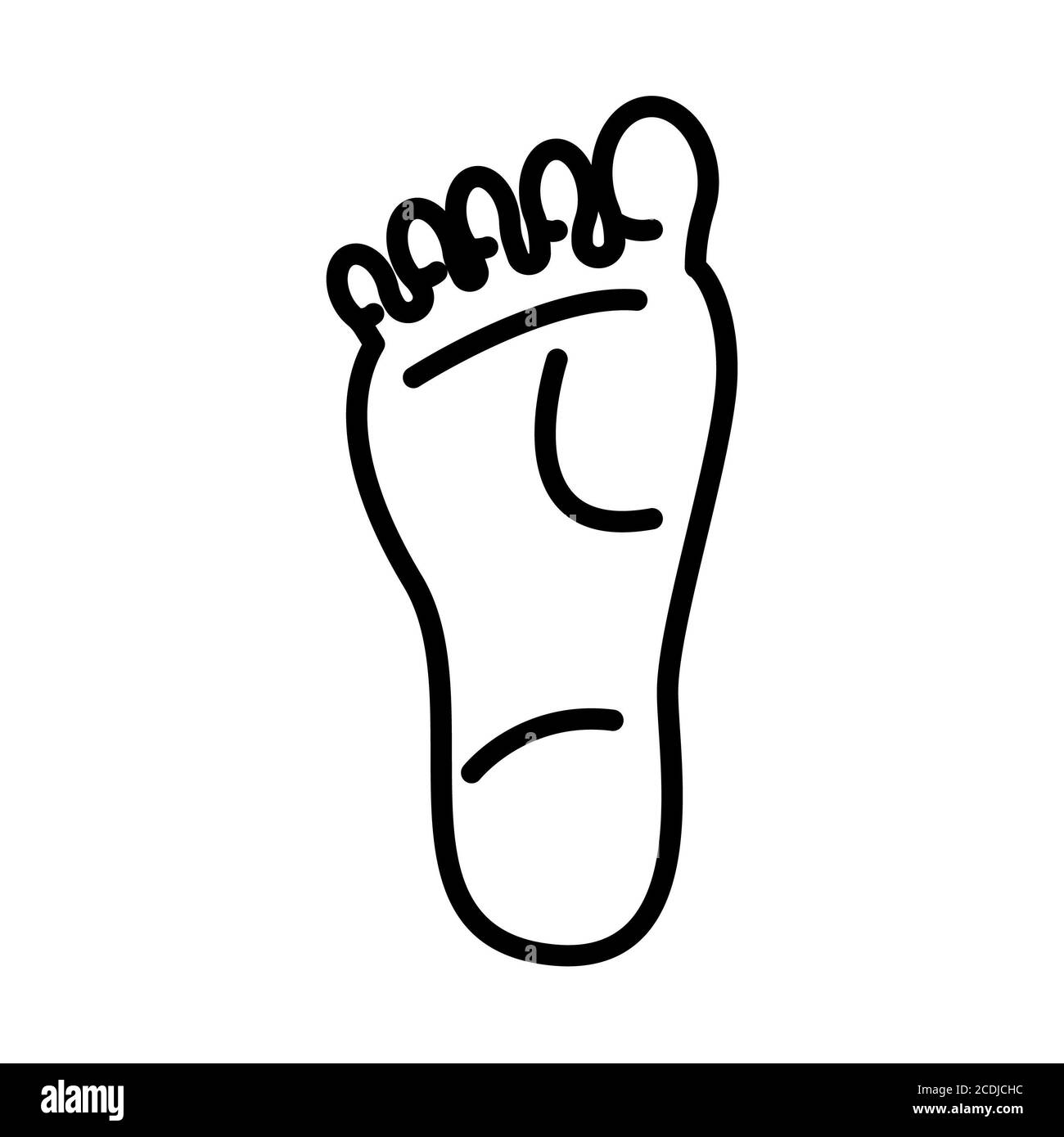 Foot Anatomy Line Icon Stock Photo