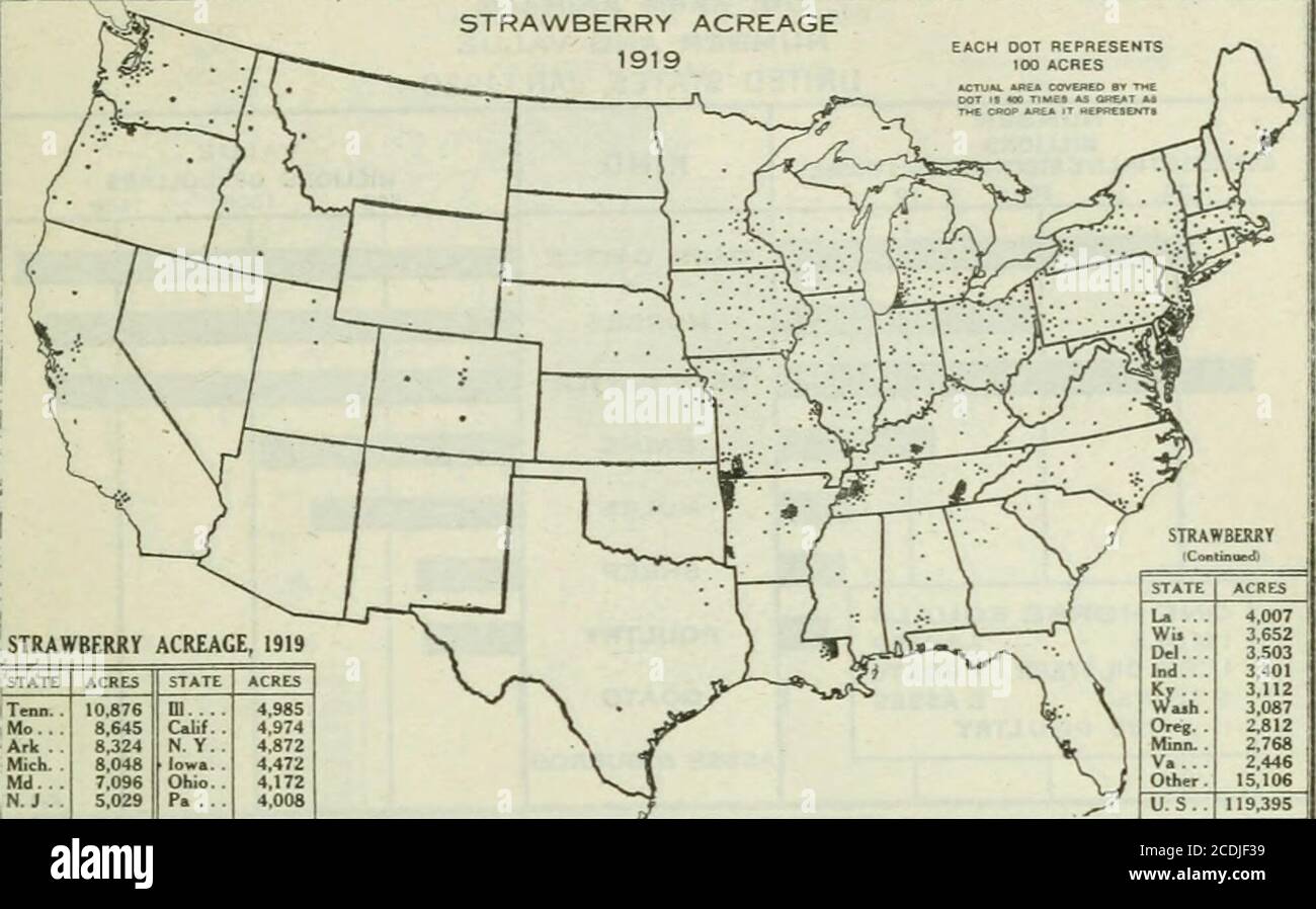 . Yearbook of agriculture . STRAWBERRY ACREAGE, 1919 STATE ACRES STATE ACRES Ttlin.. 10.876 m 4,98S Mo. 8,645 C«l.(. 4.974 Ark . 8,324 N. Y.. 4.872 Mich. 8.048 Iowa. 4,472 Md.. 7,096 Ohio. 4,172 N.J .. 5,029 P. ... 4,008 STATE ACRES L. ... 4,007 wu.. 3,652 Del... 3,503 Ind... 3,401 ^tA. 3,112 ! 3,087 Oreg. 2,812 Minn.. 2,768 1 v.... 2,44S Other. 15,106 U.S.. 119,395 Fi&lt;;. 70.—The coiunicrcifil production of .stiawbcrrios li.i.s becoiiu couciutratcil in un-usual degree in a few centers, notably, in Cumberland, Camden, Burlington, and AtlanticCounties, N. J. ; Sussex County. Del. ; Wicomico. Stock Photo