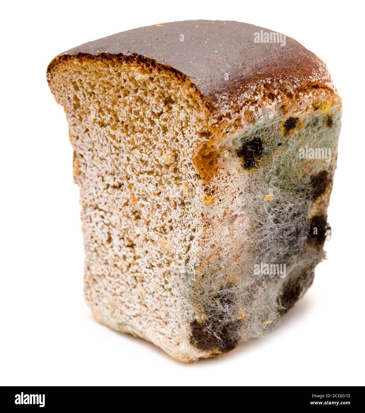 mouldy bread Stock Photo