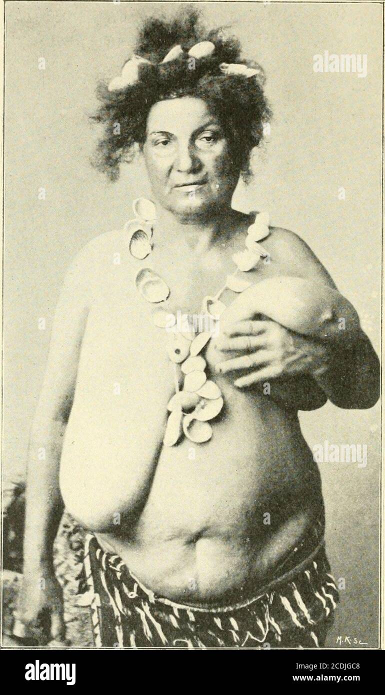 - Nenise est la ville où les peintres peuvent le mieux étudierla nature sur...