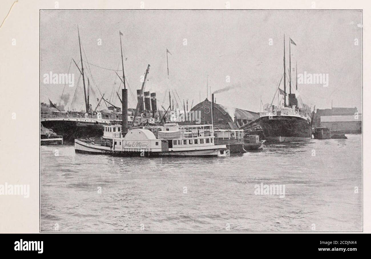 . Greater New York illustrated over one hundred and fifty