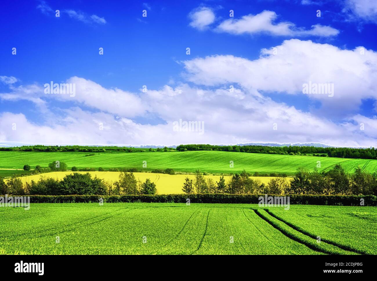 Spring green landscape Stock Photo