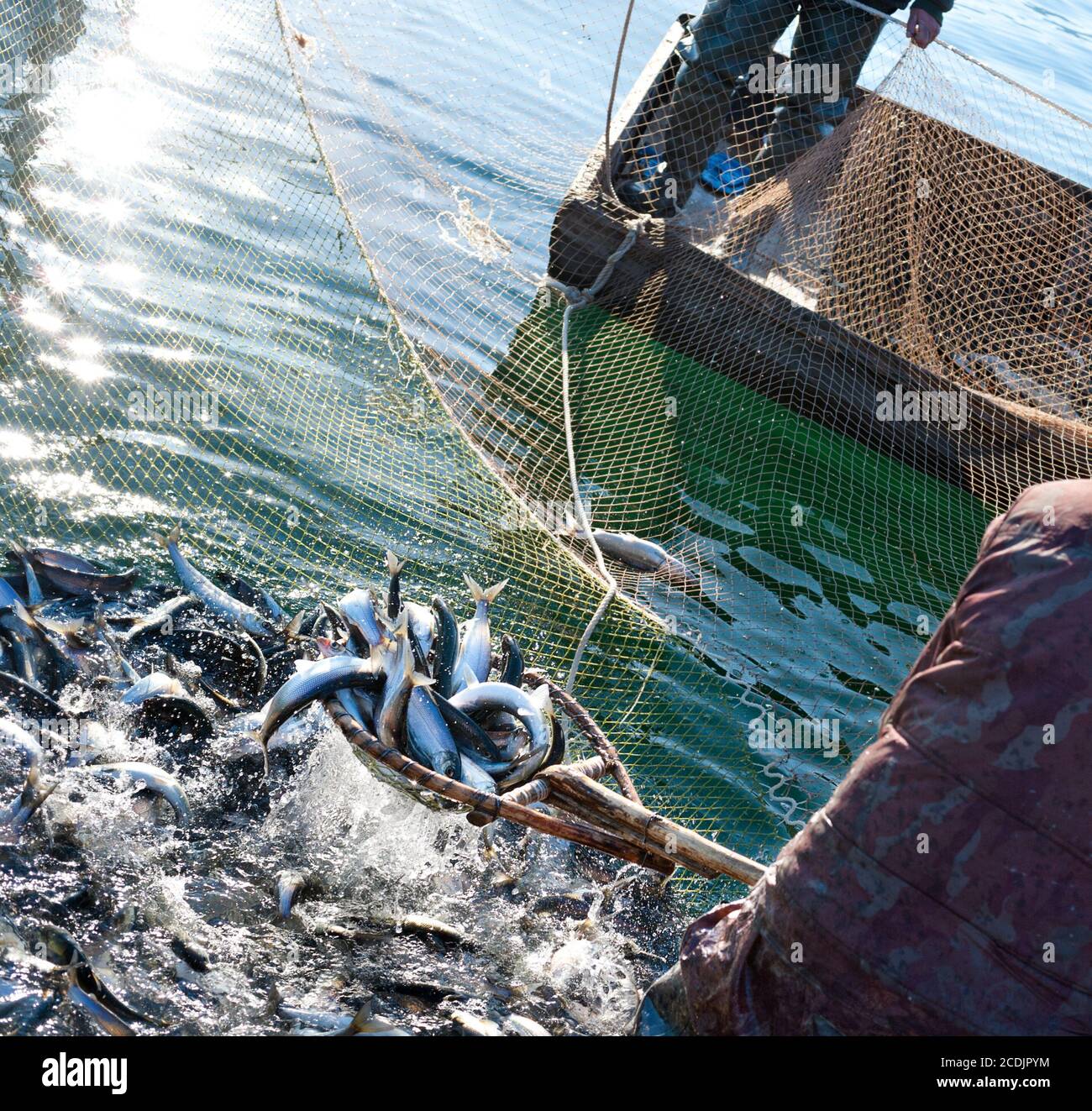 Fisherman desk stock image. Image of scoopnet, fishnet - 75502151