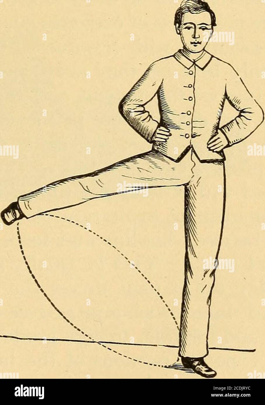 About to stretch wing with other hires stock photography and images