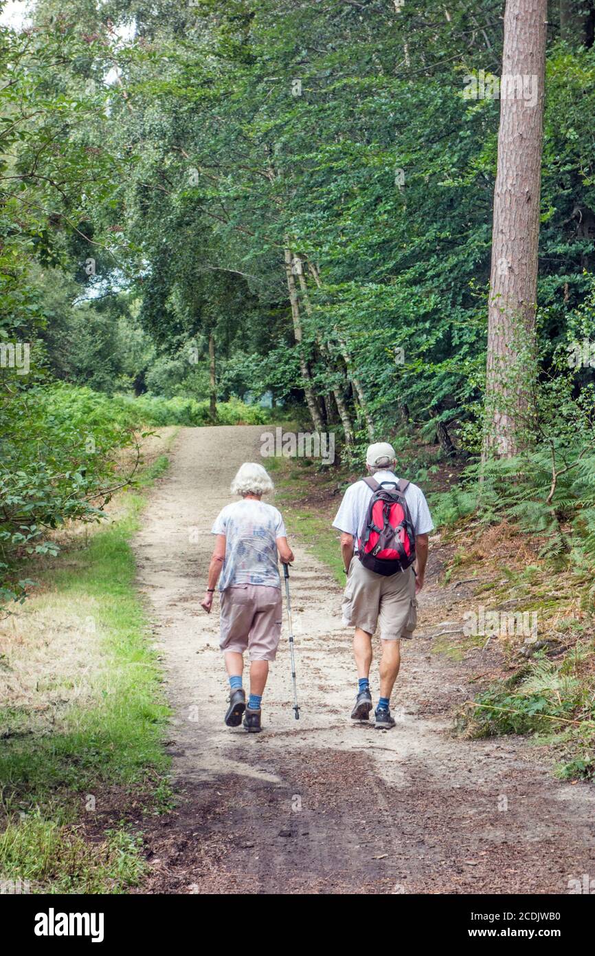 Elderly couple walking through Delamere forest on the Sandstone trail long distance footpath through the Cheshire countryside Stock Photo