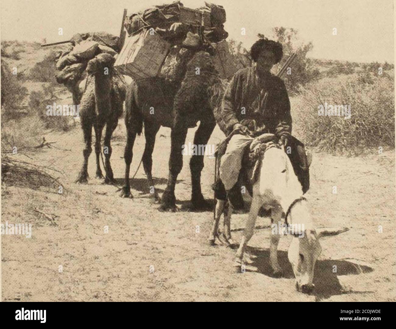 . Travel January 1915 . r a. N ( BOKHARA SAMARCAND* i  0 m i) i; W A1. Stock Photo