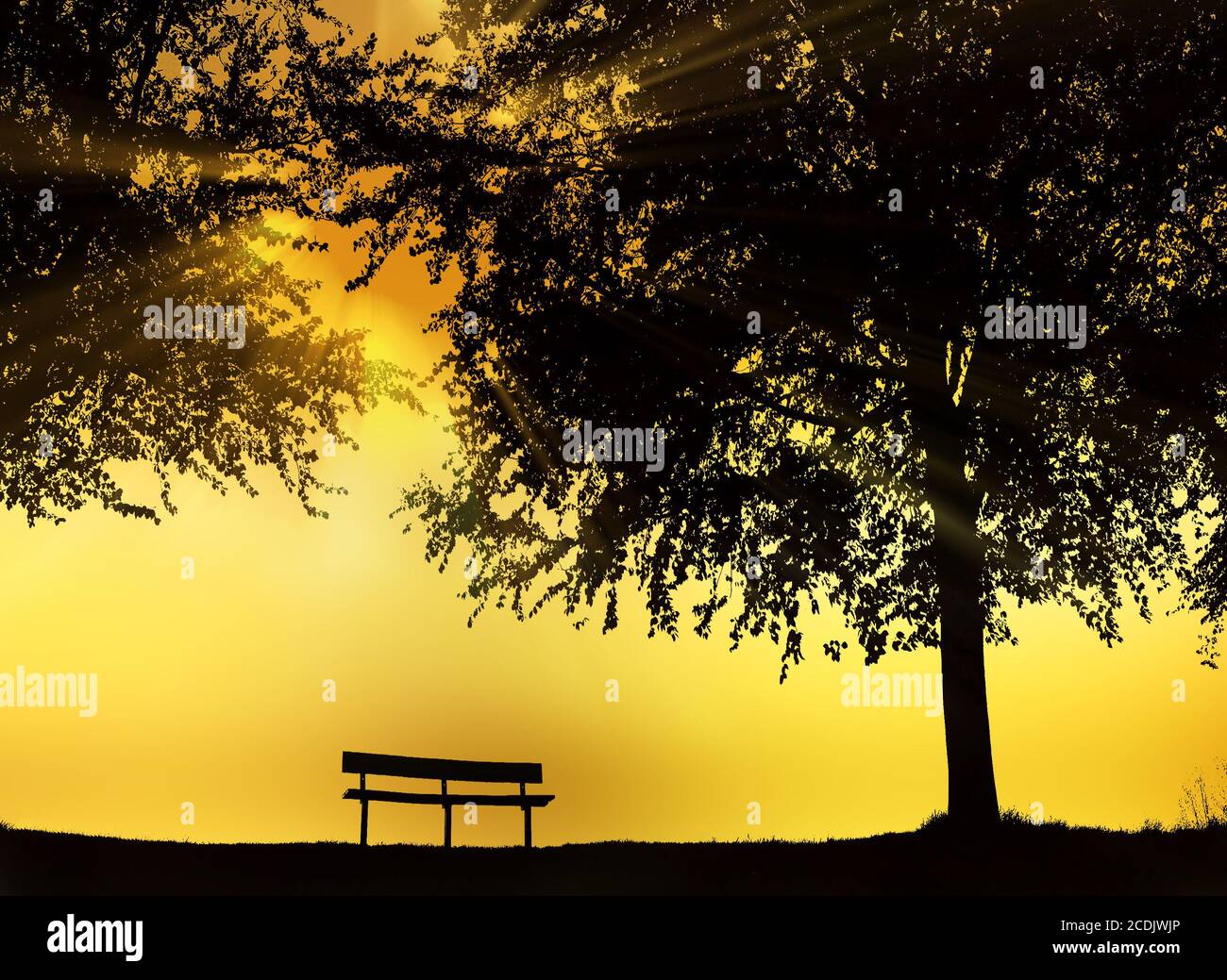 Sunny park hi-res stock photography and images - Alamy