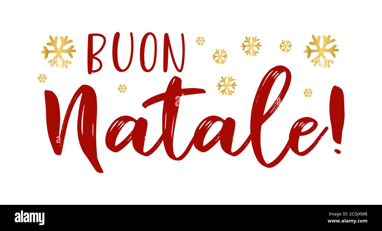 Font Buon Natale.Buon Natale Quote In Italian As Logo Or Header Translated Merry Christmas Celebration Lettering For Poster Card Invitation Stock Vector Image Art Alamy