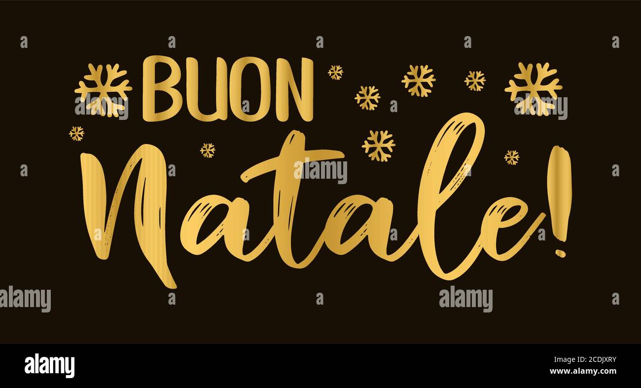 Logo Buon Natale.Buon Natale Quote In Italian As Logo Or Header Translated Merry Christmas Celebration Lettering For Poster Card Invitation Stock Vector Image Art Alamy