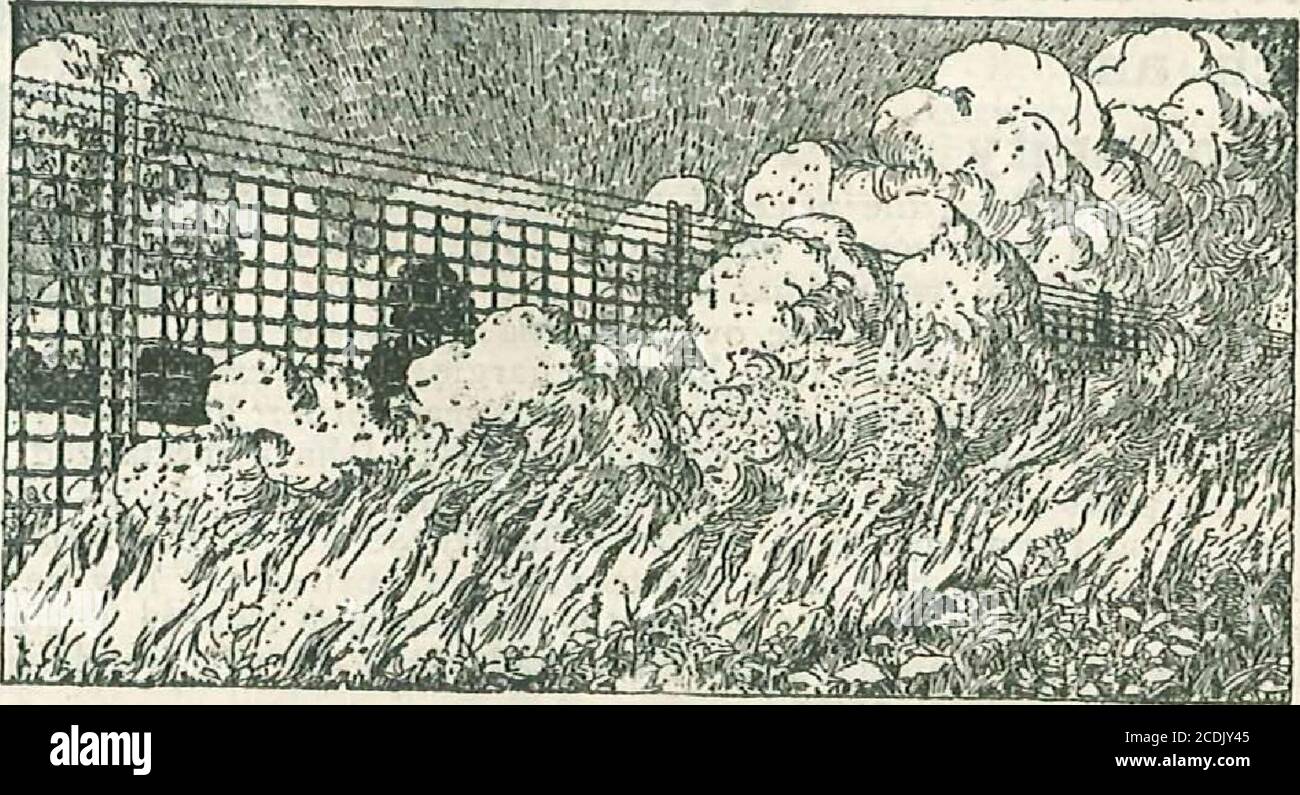 . Here's Jim Brown with a load of summer and fall bargains : fencing, gates, steel posts, ready-roofing and paint . This kind of post makes it impossible to burn along the fencerow and it means that your place always looks weedy.. With steel posts you can burn along the fence line at any timeand keep your place free from weeds and make it look spic and span. Carbon Steel Post Fastens With Staples DRIVE LIKE A STAKE-FASTENED IN A JIFFY- When you build a fence with my Carbon Steel Angle Posts, or TeePosts, you dont have to bother with twisting and winding the wires to fastenvour fence to the pos Stock Photo