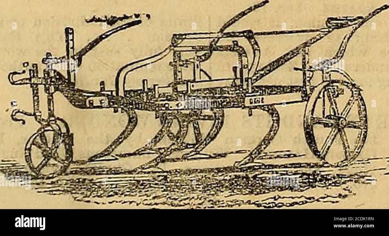 Stani High Resolution Stock Photography And Images Alamy