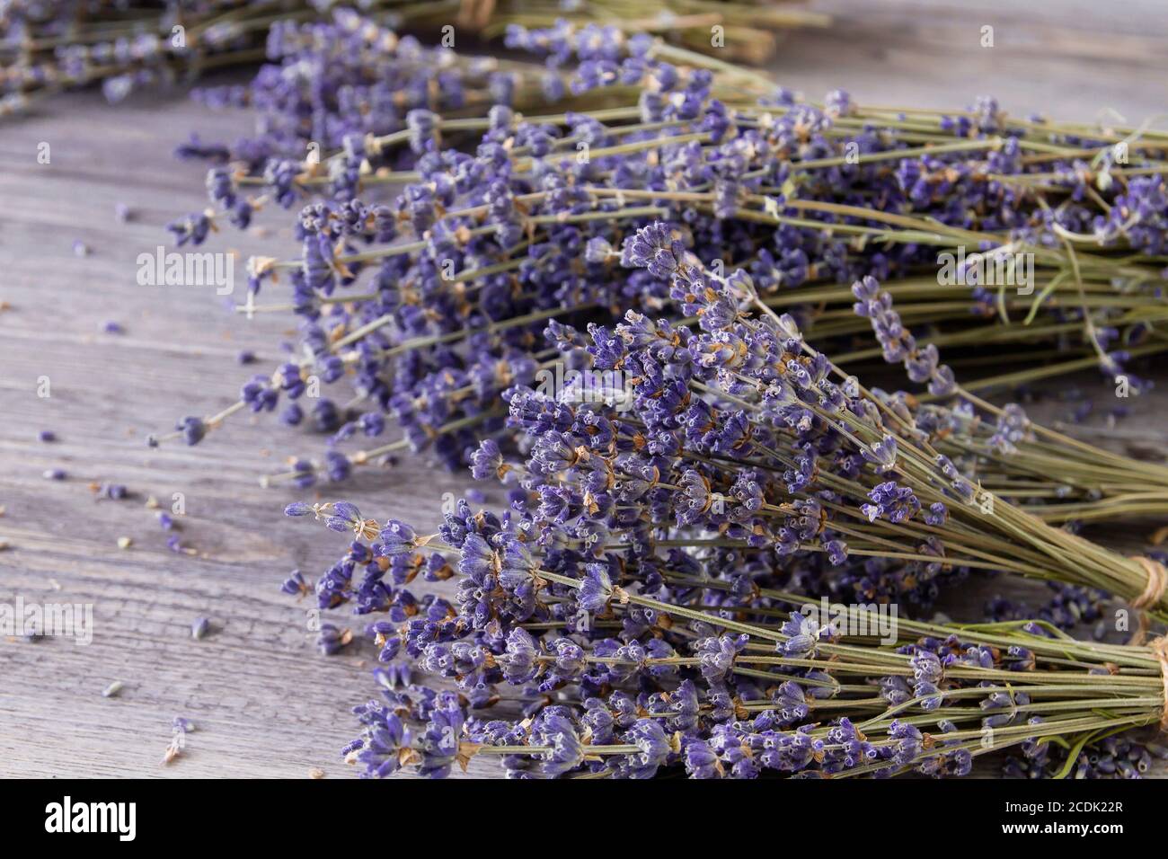 Bouquets of dried lavender flowers Stock Photo Alamy