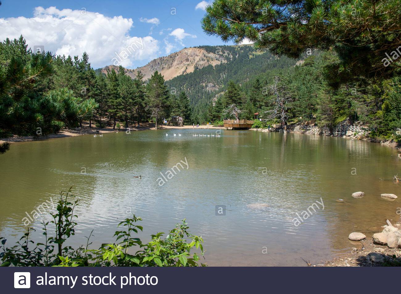 Gumushane, Turkey - 31 July, 2020: Limni Lake, National Nature Park, Zigana  Mountain, Altitude; 1700 Meter Stock Photo - Alamy