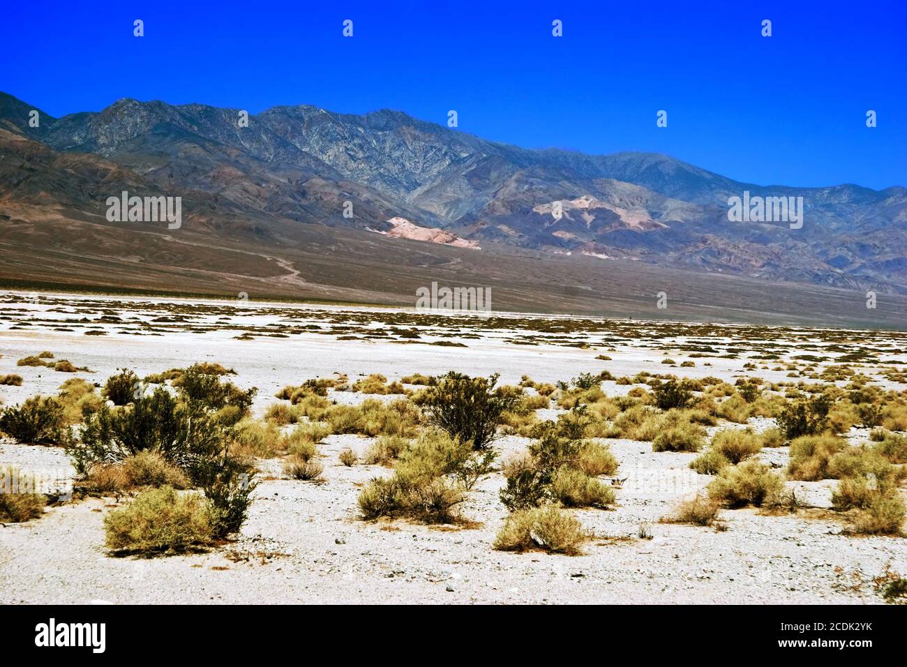 Hot lifeless hi-res stock photography and images - Alamy