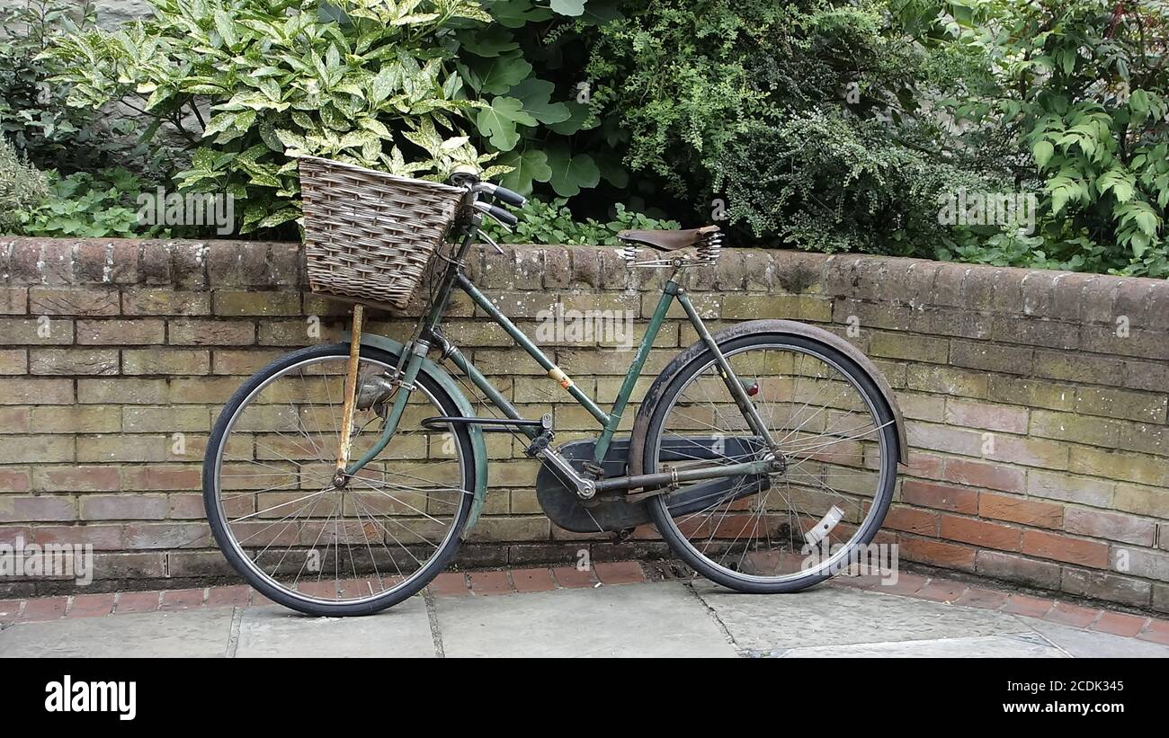 Ladies push bike on sale with basket