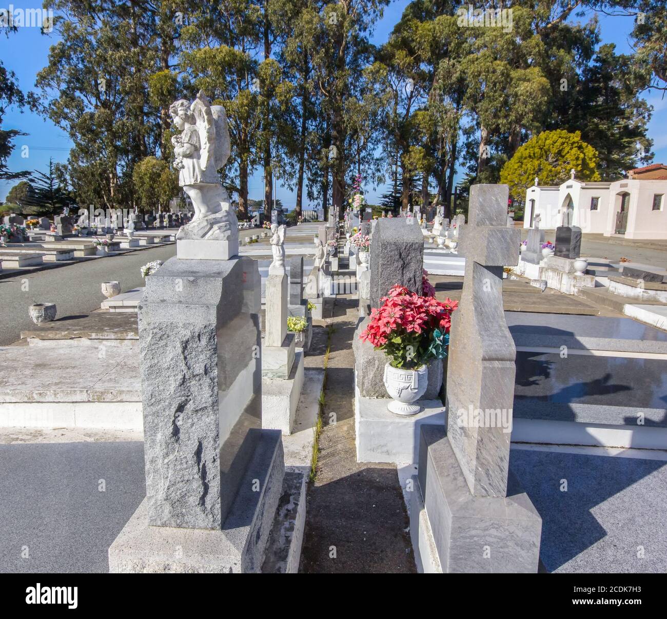 Lines of Grave Markers at San Carlos Cemetery Stock Photo - Alamy