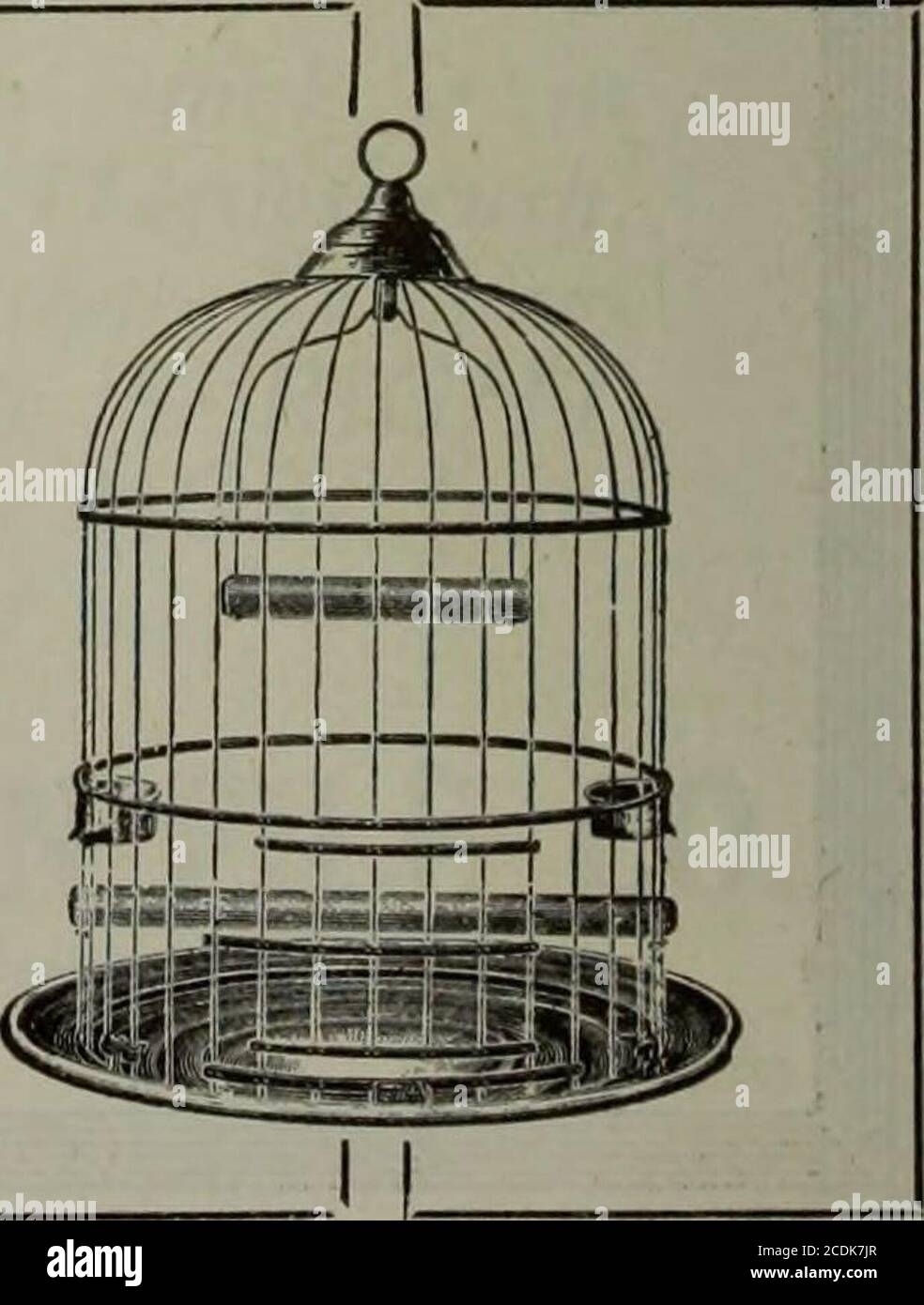 Hardware merchandising March-June 1915 . Parrot Cages The cage that  satisfies both the consumer and dealerat once. The former demands quality,  the latter —profits. The cups are of tinned iron, non-rusting
