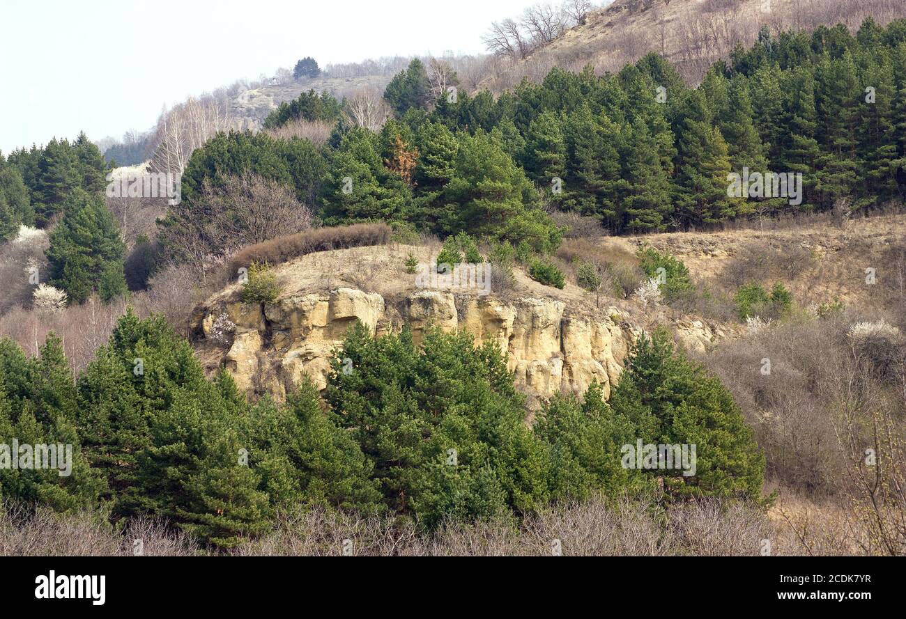 Resort park in Kislovodsk Stock Photo - Alamy
