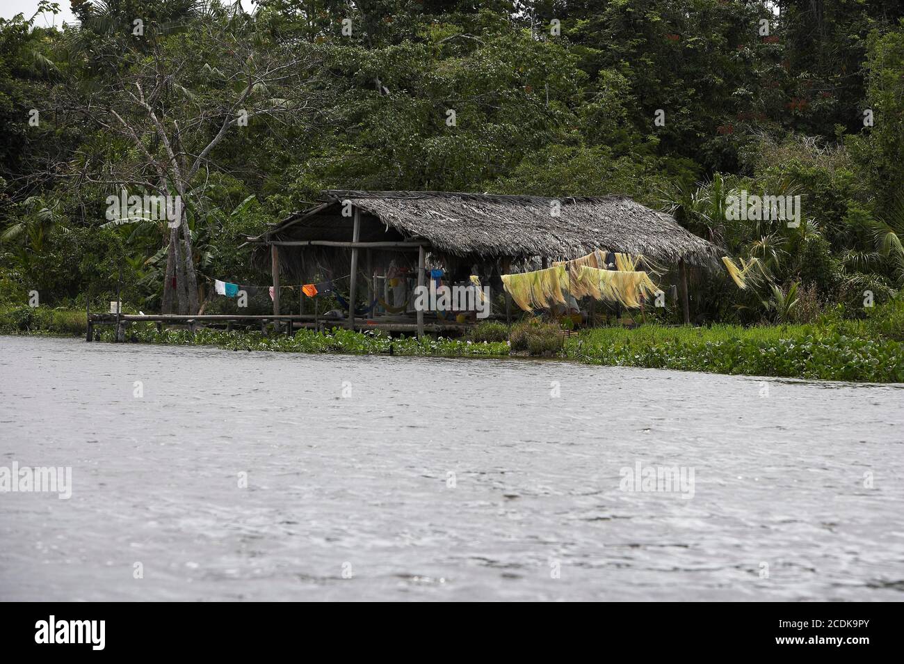 WARAO'S HOUSE ON PILE, INDIANS LIVING IN ORINOCO DELTA, VENEZUELA Stock ...