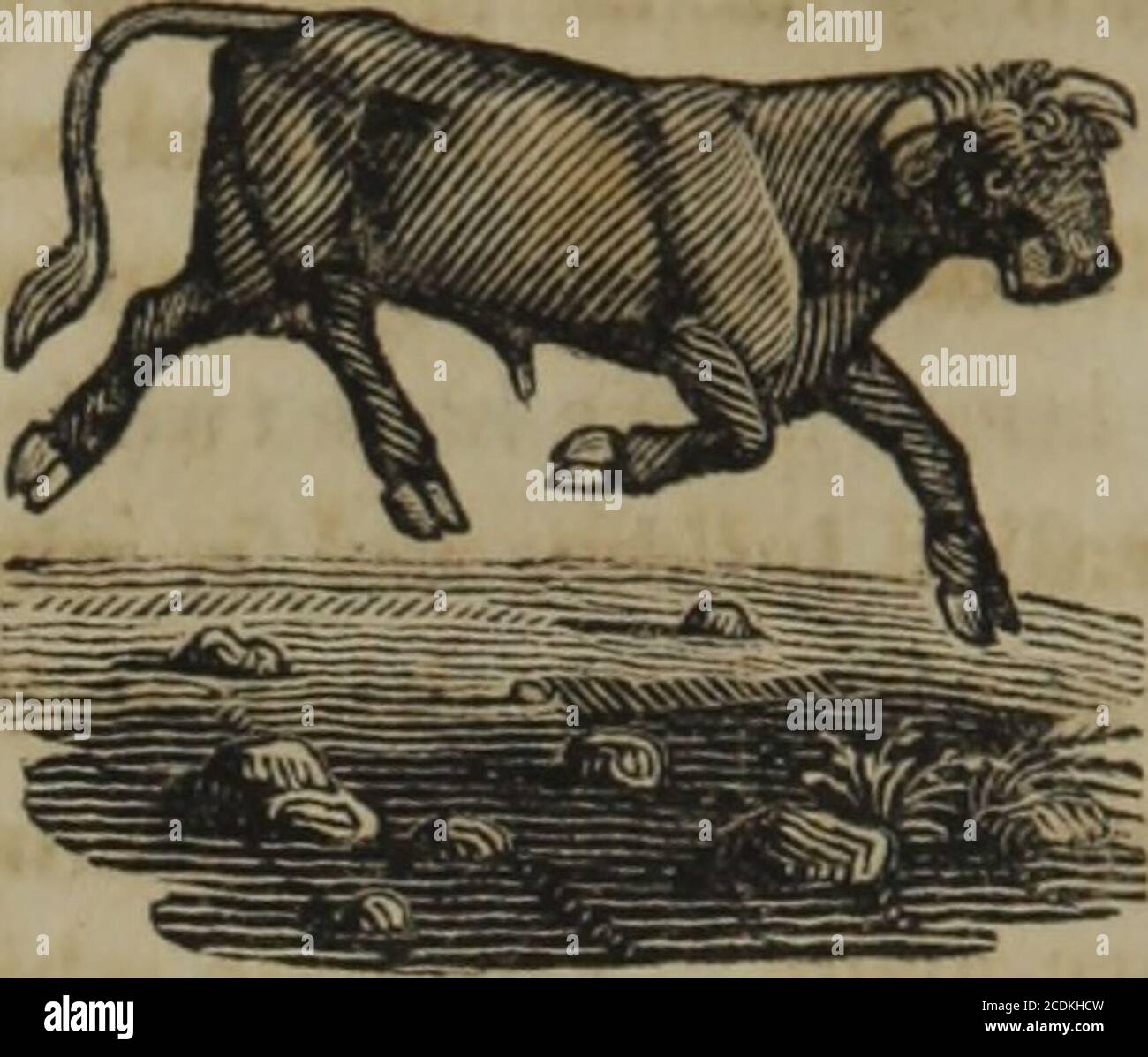 Page 6 Iscalled High Resolution Stock Photography And Images Alamy