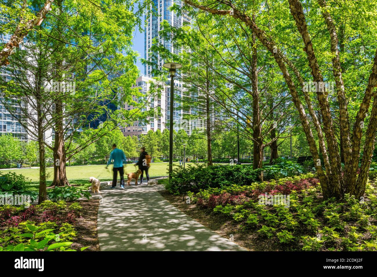 Lakeshore East Park designed by OJB Landscape Architecture Stock Photo
