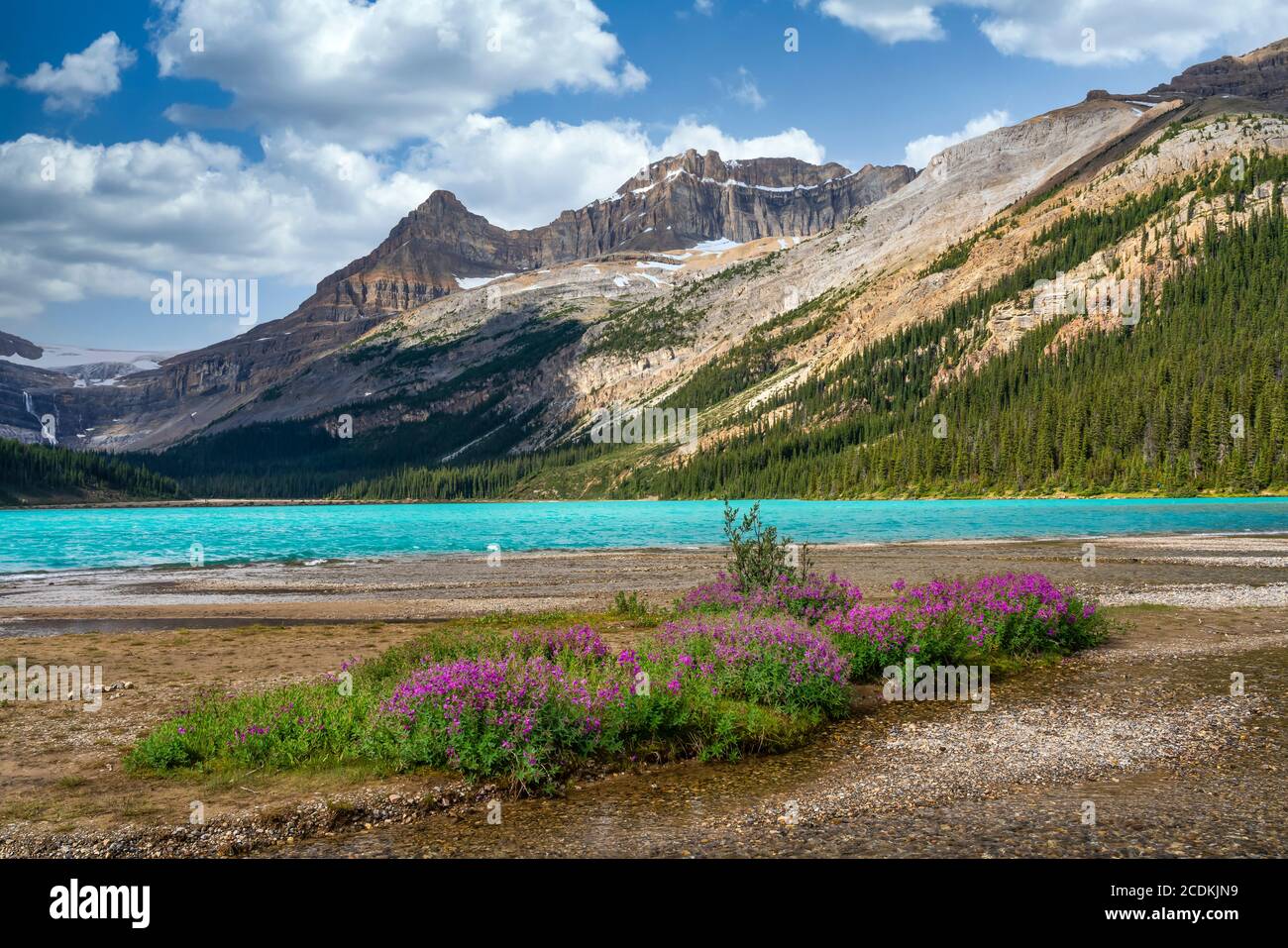 Bow Lake in Banff National Park, Icefields Parkway, Alberta, Canada. Stock Photo