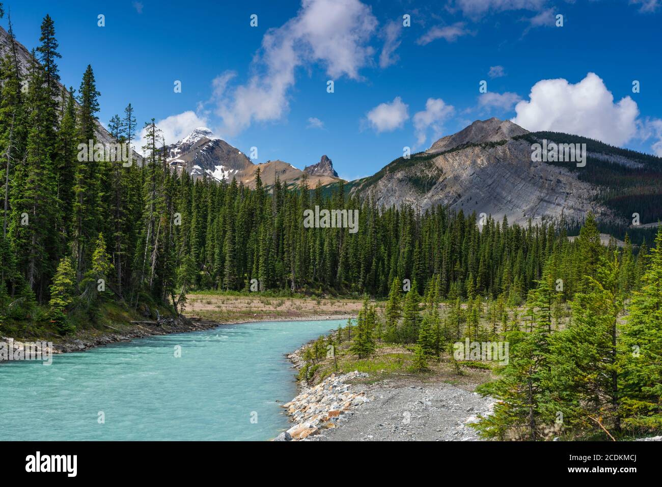 Mountain scenic along the Icefields Parkway, Alberta, Canada. Stock Photo