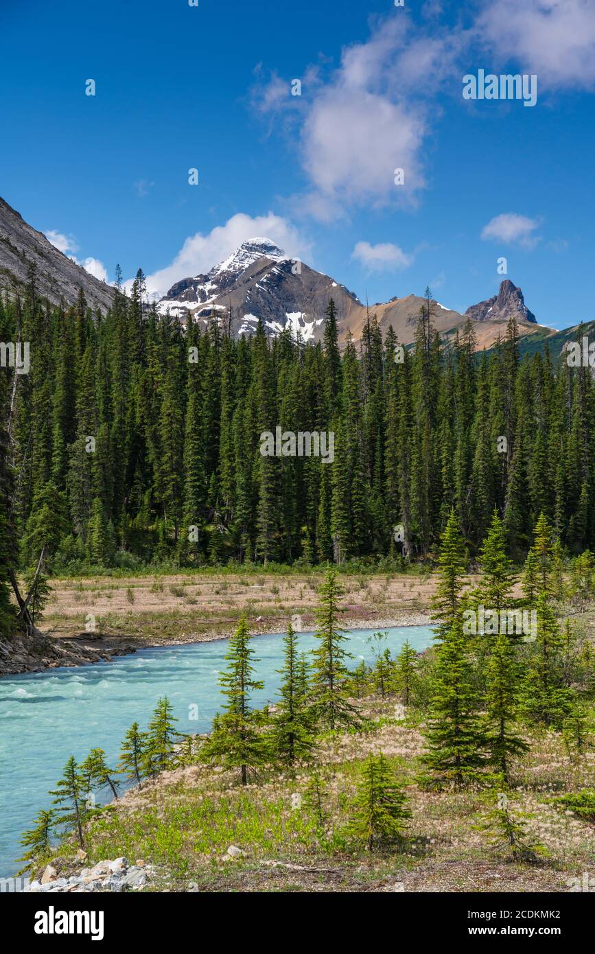 Mountain scenic along the Icefields Parkway, Alberta, Canada. Stock Photo
