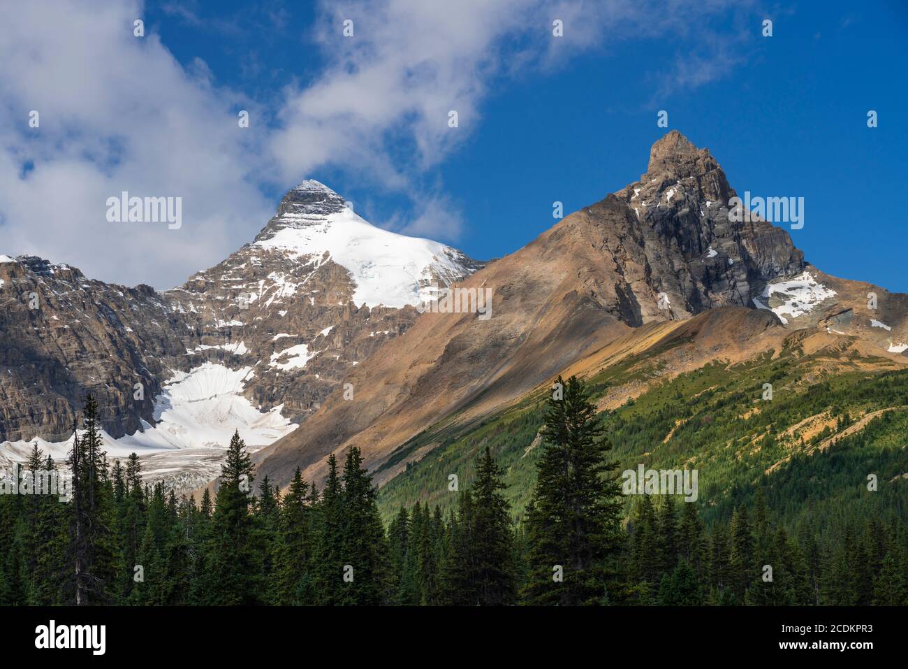 Parker Ridge, Icefields Parkway, Banff National Park, Alberta, Canada. Stock Photo