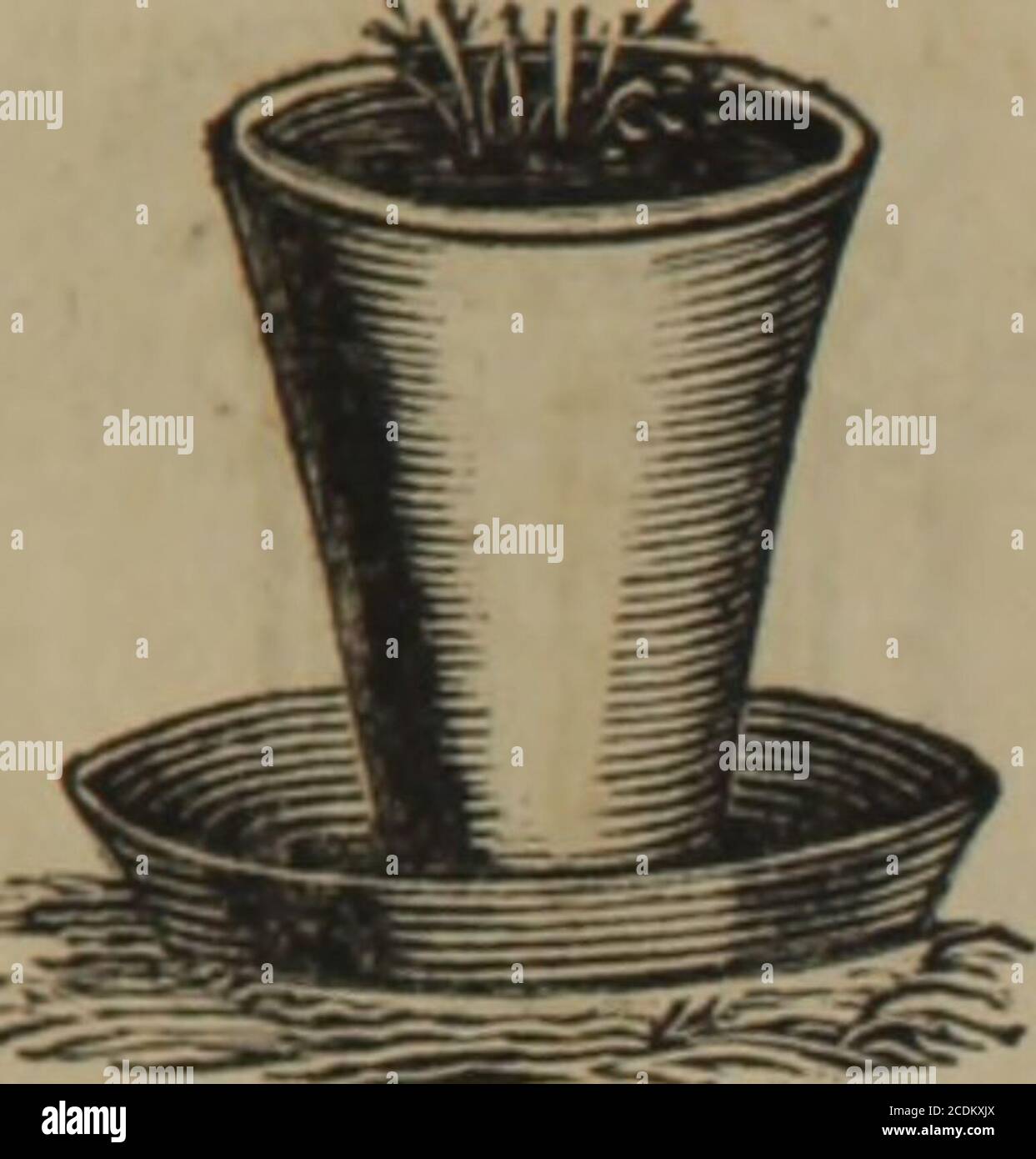 . Elementary exercises for the deaf and dumb . Teapot [ 133 ](36th