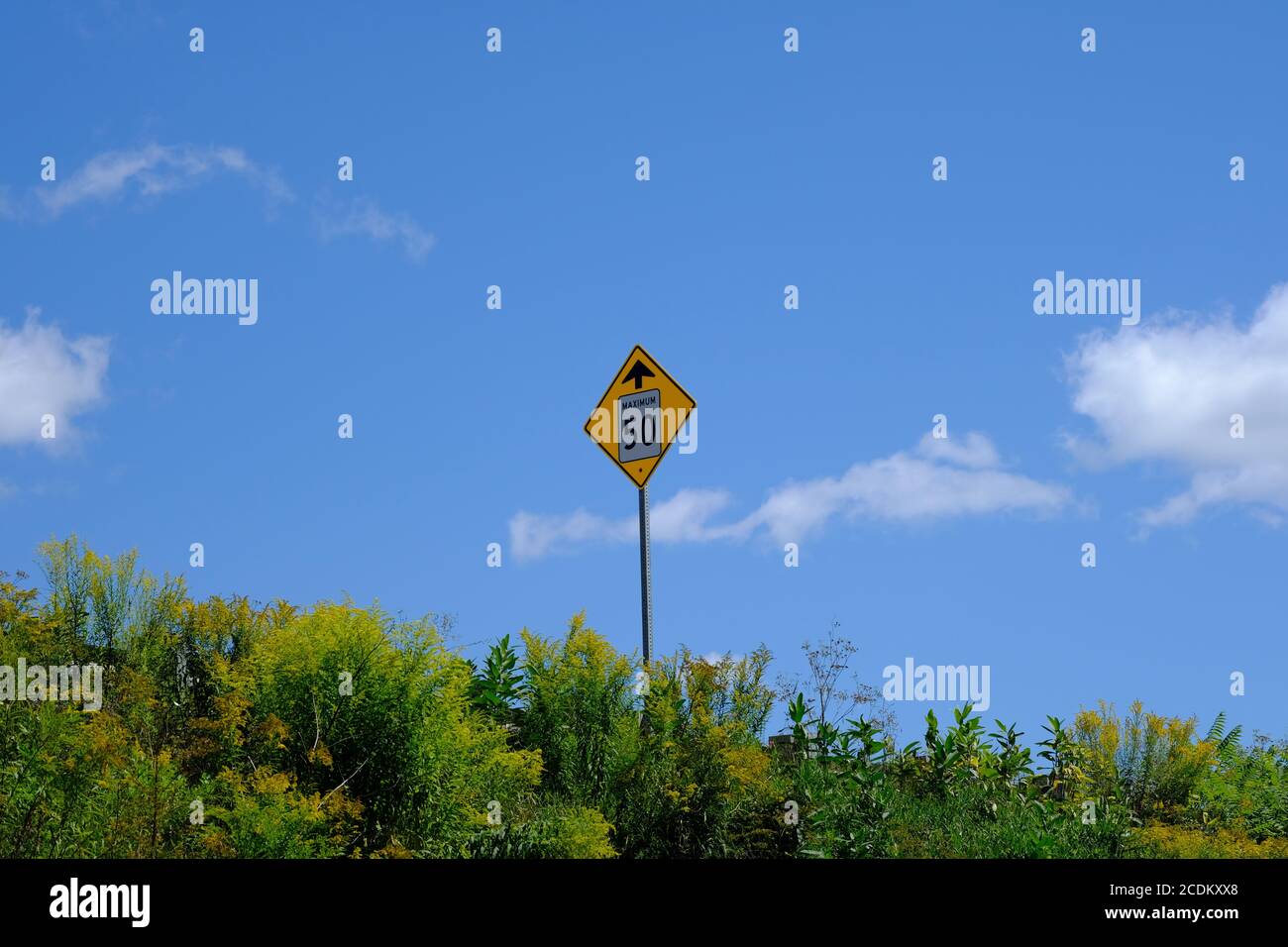 'Maximum 50' km/h yellow diamond road sign against a blue sky on an overgrown Quebec road side, Canada. Stock Photo