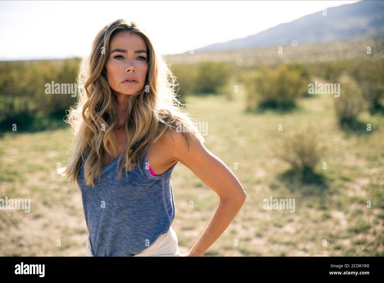 Denise Richards High Resolution Stock Photography and Images Alamy