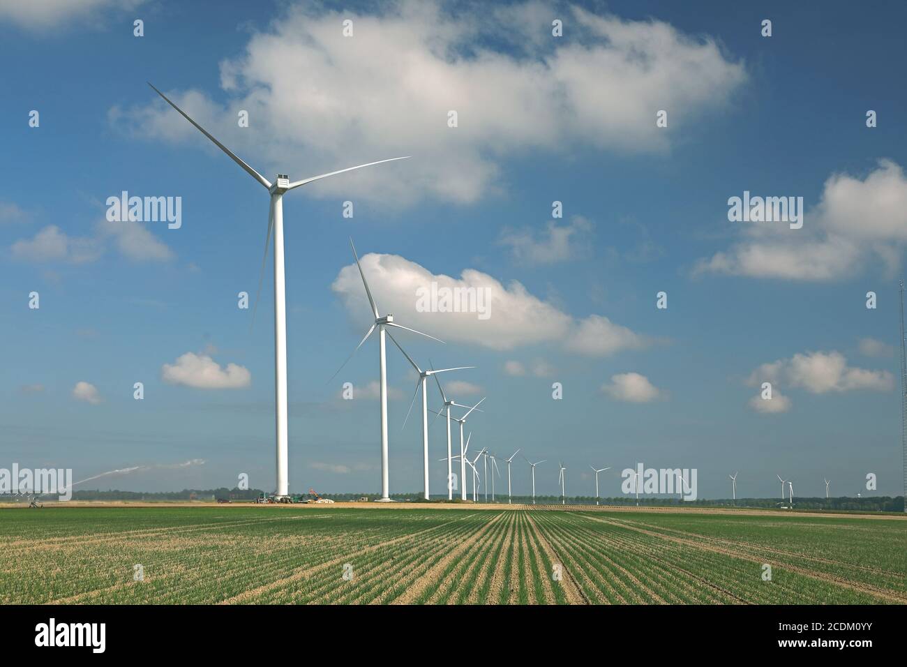 windwheels at the Wieringerwerf, Netherlands, Northern Netherlands Stock Photo